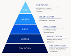 Pyramid diagram of fragrance notes with labels on a white background